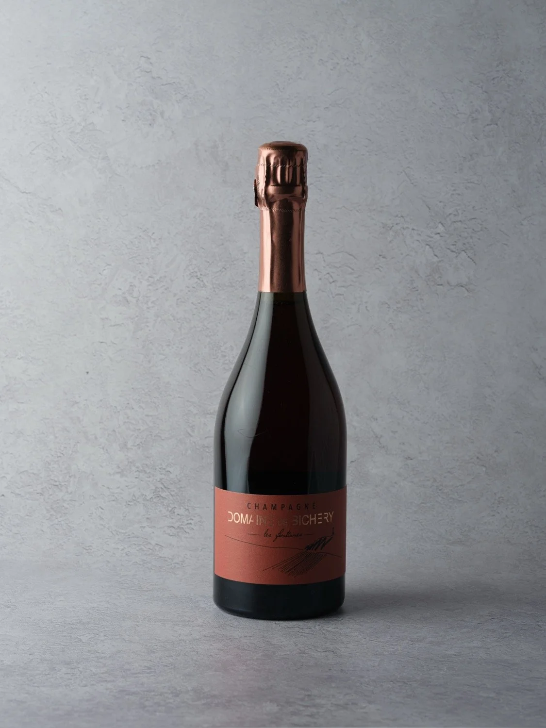 Domaine de Bichery +ヴァンシーメニル Domaine Bichery, La Source – Sparkle-ist